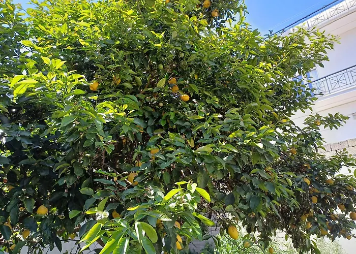 아파트 The Lemoni House - Skyathos- 2-bedroom